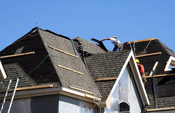 Roof Gutter Cleaning in Mead, CO